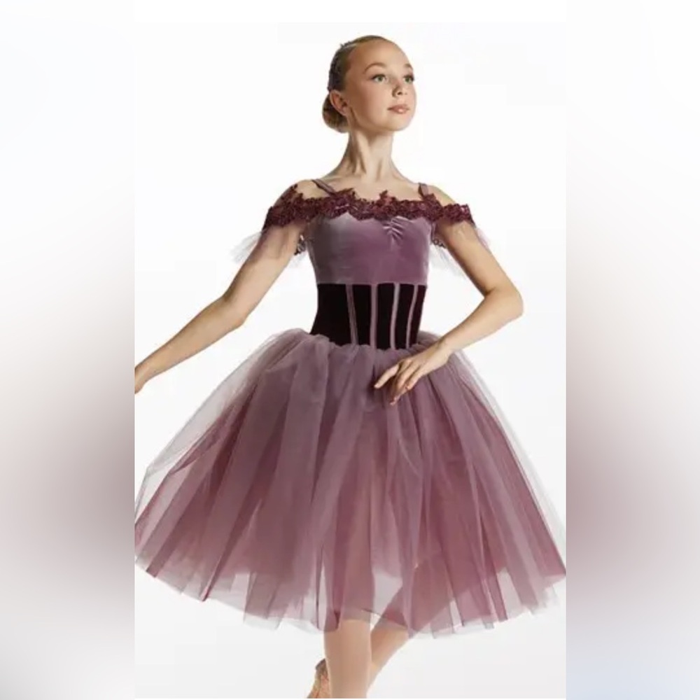 Weissman Fragile Dream Costume, Large Adult, Ballet